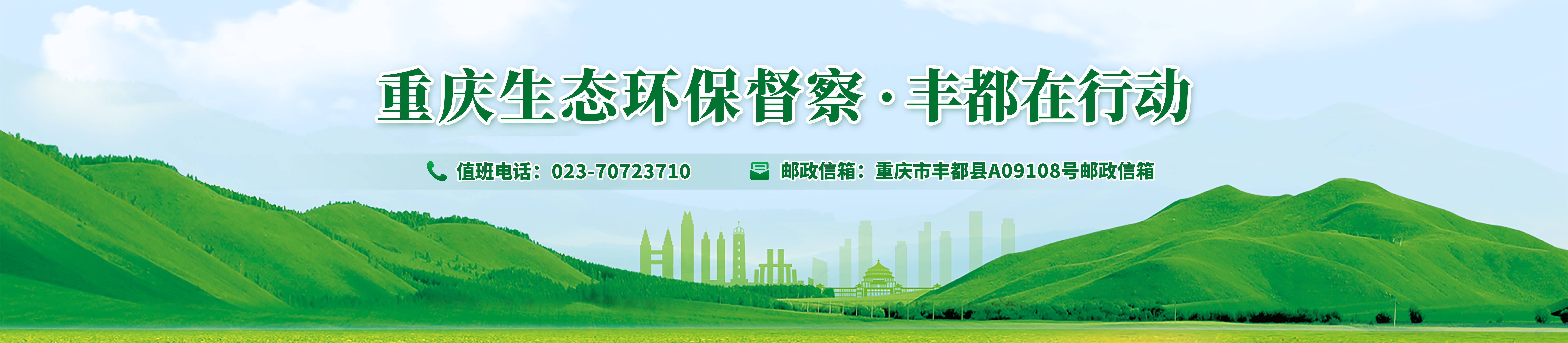 (丰都)网站首页通栏信息公开样式.jpg